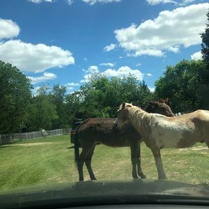 Meet your Posher, Bracha